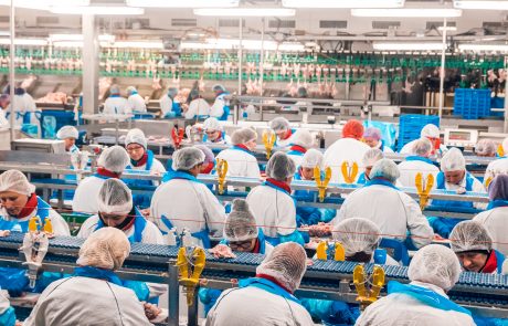 Dutch Poultry Processors
