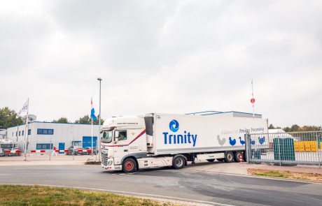 Trinity